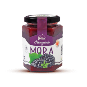 MERMELADA DE MORA CON MIEL DE ABEJA